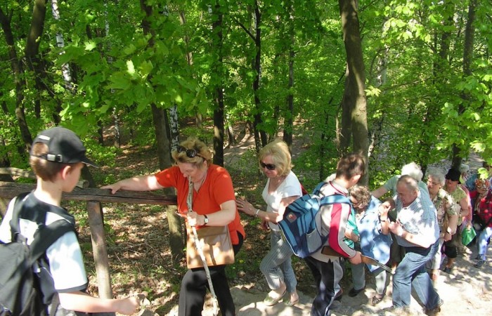 chciny_4_20121218_1463606279